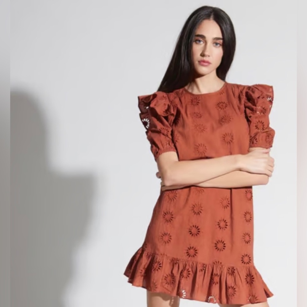Walter Baker Eyelet Mini Dress Burnt Orange Cotton Puff‎ Sleeves size XS